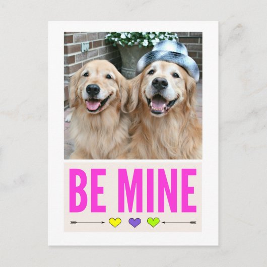 Happy Golden Retrievers zijn mijn Valentijnsdag Feestdagenkaart (Voorkant)