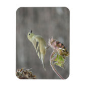 Happy Goldfinch en Sunflower Magnet Magneet (Verticaal)