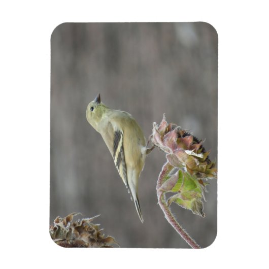 Happy Goldfinch en Sunflower Magnet Magneet (Verticaal)