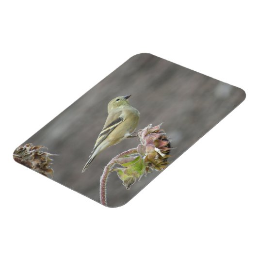 Happy Goldfinch en Sunflower Magnet Magneet (Linkerzijde)