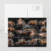 Happy Goofy Chocolate Lab Pit Mix Dog Collage Briefkaart (Voorkant / Achterkant)