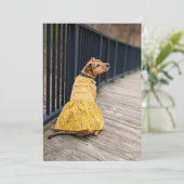 Happy Gotcha Dag Fancy jurk Foto Hond Kaart (Staand voorkant)