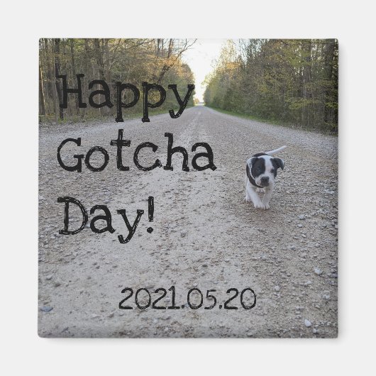 Happy Gotcha Day Pet Magneet (Voorkant)