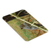 Happy Gray Squirrel Magnet Magneet (Rechterzijde)