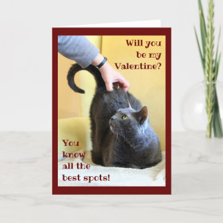 Happy Grey Cat met Tail omhoog Feestdagen Kaart