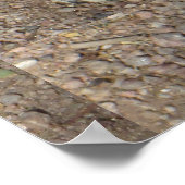 Happy Ground Squirrel Poster (Hoek)