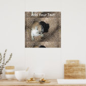 Happy Ground Squirrel Poster (Keuken)
