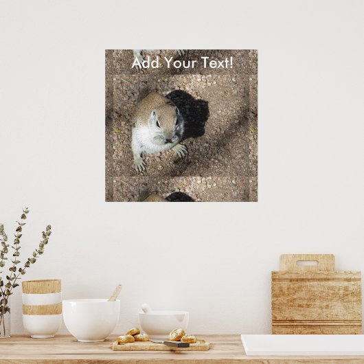 Happy Ground Squirrel Poster (Keuken)
