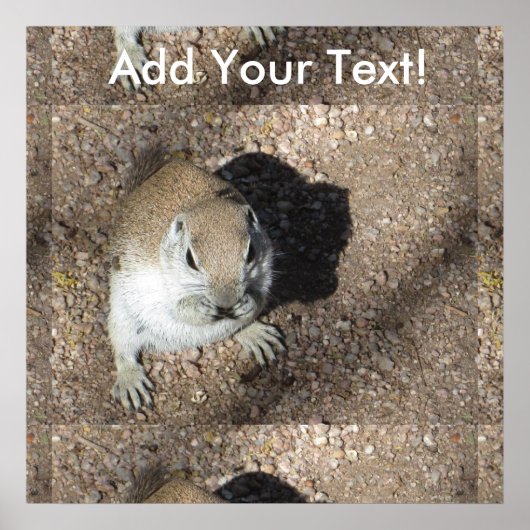 Happy Ground Squirrel Poster (Voorkant)
