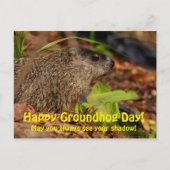 Happy Groundhog Day Briefkaart (Voorkant)