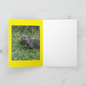 Happy Groundhog Day, custom greeting cards Kaart (Binnen)