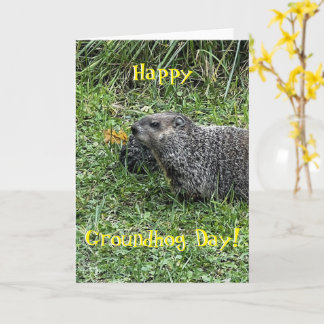 Happy Groundhog Day, custom greeting cards Kaart