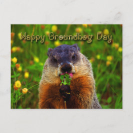 Happy Groundhog Day Eating Flower Briefkaart