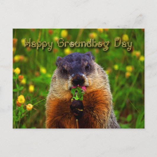 Happy Groundhog Day Eating Flower Briefkaart (Voorkant)