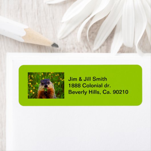 Happy Groundhog Day Eating Flower Etiket (Insitu)