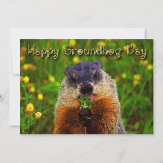 Happy Groundhog Day Eating Flower Kaart (Voorkant)