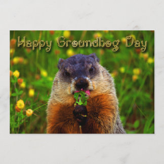 Happy Groundhog Day Eating Flower Kaart