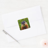 Happy Groundhog Day Eating Flower Vierkante Sticker (Envelop)