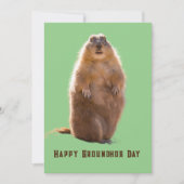 Happy Groundhog Day Grappig Feestdagenkaart (Voorkant)