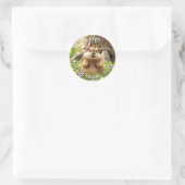 Happy Groundhog Day | Schattige Woodchuck Ronde Sticker (Tas)