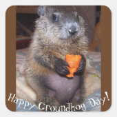 Happy Groundhog Day Stickers (Voorkant)