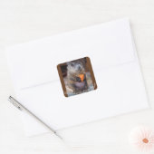 Happy Groundhog Day Stickers (Envelop)