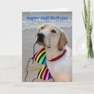 Happy Half Birthday Labrador Retriever Kaart