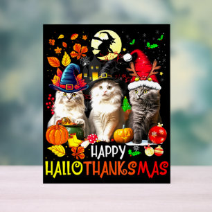 Happy HalloBedanktMas Cats Acryl Bord