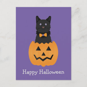 Happy Halloween Black Cat Pumpkin Briefkaart