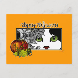 Happy Halloween Black in White Cat Briefkaart