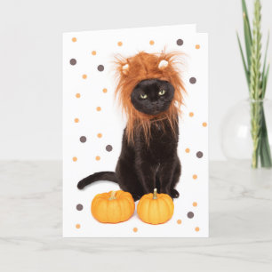 Happy Halloween Black Kitty Cat in Lion Costume Feestdagen Kaart