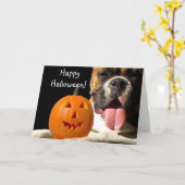 Happy Halloween Boxer Wenskaart Kaart (Gele Bloem)