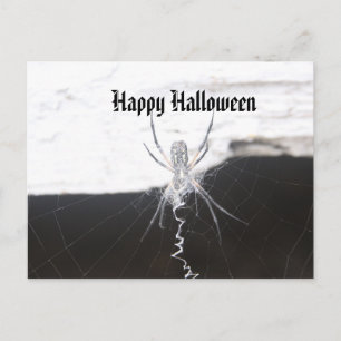 Happy Halloween Briefkaart