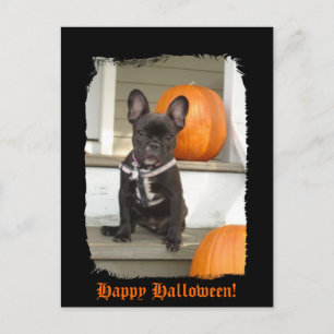 Happy Halloween! Briefkaart