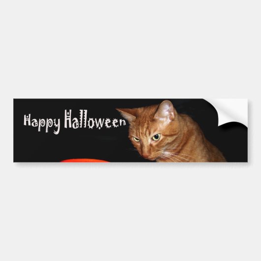 Happy Halloween Bumpersticker (Voorkant)