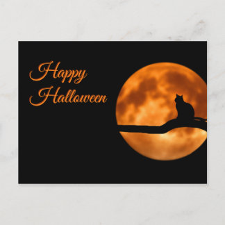 Happy Halloween Cat Briefkaart