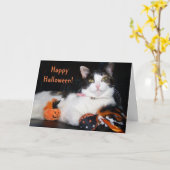 Happy Halloween Cat Calico Kat met pompoen Kaart (Gele Bloem)
