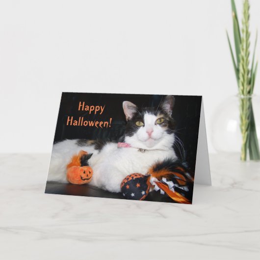 Happy Halloween Cat Calico Kat met pompoen Kaart (Voorkant)