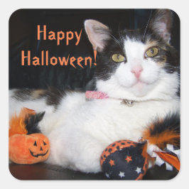Happy Halloween Cat Calico Kat Vierkante Sticker