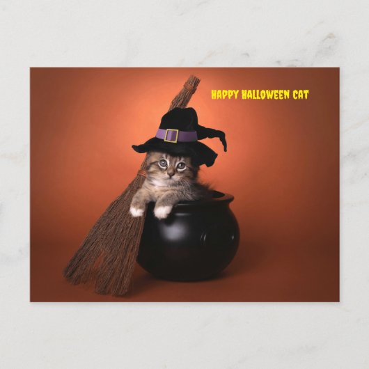 Happy Halloween Cat Feestdagenkaart (Voorkant)