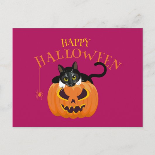 Happy Halloween Cat leuk Briefkaart (Voorkant)