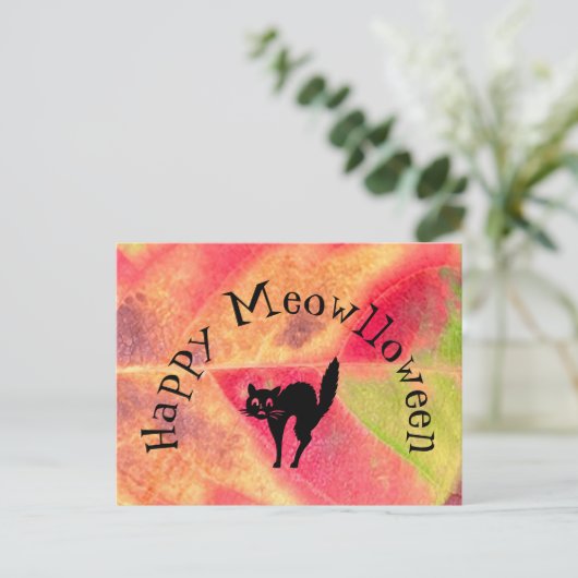 Happy Halloween Cat Meow Postcard Briefkaart (Staand voorkant)