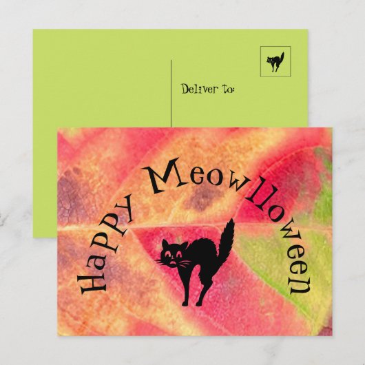 Happy Halloween Cat Meow Postcard Briefkaart (Voorkant / Achterkant)