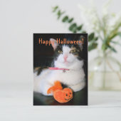 Happy Halloween Cat met pompoen Feestdagenkaart (Staand voorkant)