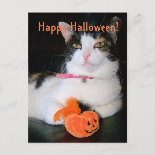 Happy Halloween Cat met pompoen Feestdagenkaart (Voorkant)
