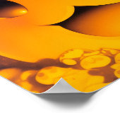 Happy Halloween Cat Poster (Hoek)