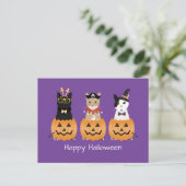 Happy Halloween Cats Jack O Lantern Feestdagenkaart (Staand voorkant)