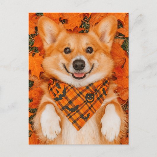 Happy Halloween Corgi Postcard Cute Dog Autumn Briefkaart (Voorkant)