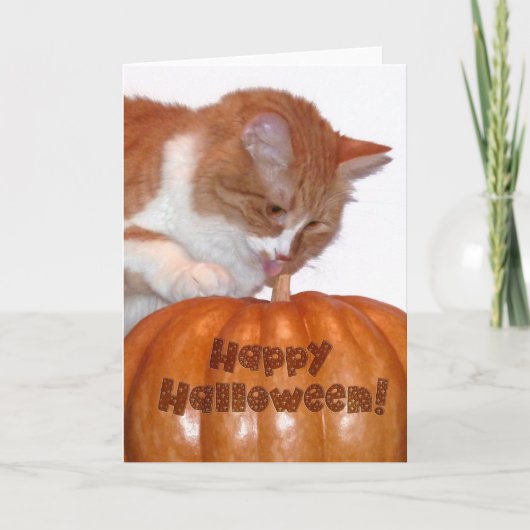 Happy Halloween Cute Cat met pompoen Kaart (Voorkant)