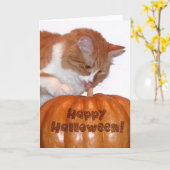 Happy Halloween Cute Cat met pompoen Kaart (Gele Bloem)